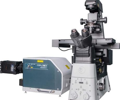 CSU系列转盘式场扫描共聚焦系统