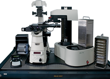高内涵图像系统