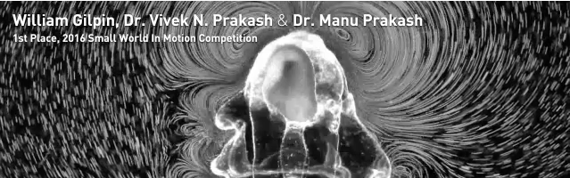 2017 Small World 全球显微运动摄影大赛