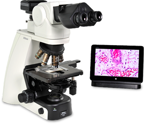 临床研究级正置显微镜 Ci-E/Ci-L/Ci-S
