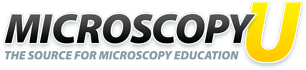 尼康MicroscopyU显微镜教育资源网站推介