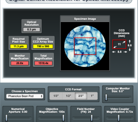 教您如何正确选择显微镜相机的分辨率【译自：MicroscopyU】