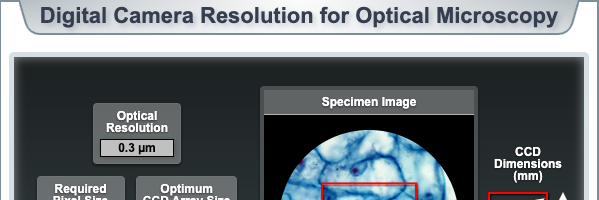 教您如何正确选择显微镜相机的分辨率【译自：MicroscopyU】