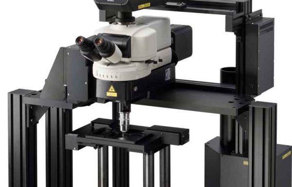 多光子共聚焦显微镜 AX R MP